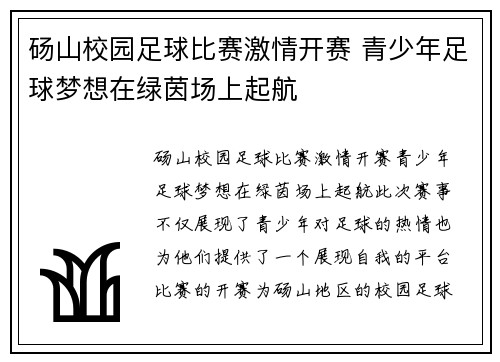 砀山校园足球比赛激情开赛 青少年足球梦想在绿茵场上起航