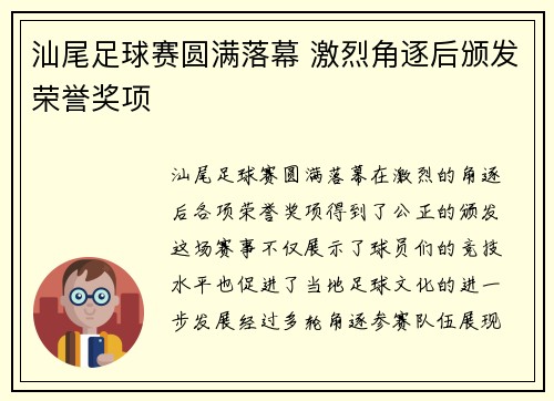 汕尾足球赛圆满落幕 激烈角逐后颁发荣誉奖项