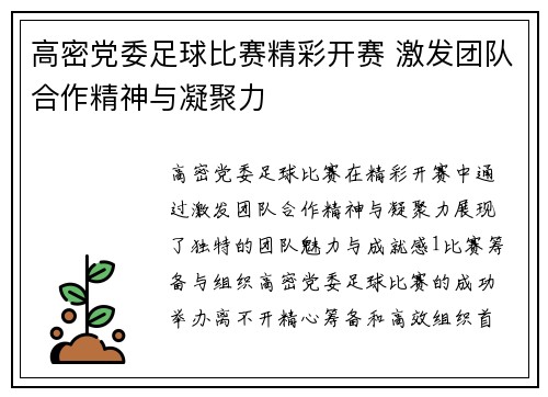 高密党委足球比赛精彩开赛 激发团队合作精神与凝聚力