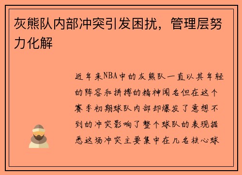 灰熊队内部冲突引发困扰，管理层努力化解