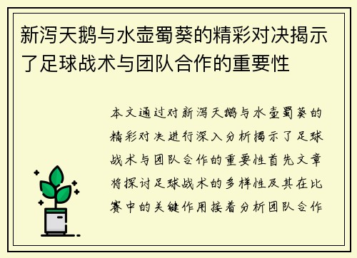 新泻天鹅与水壶蜀葵的精彩对决揭示了足球战术与团队合作的重要性