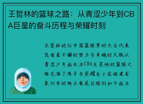 王哲林的篮球之路：从青涩少年到CBA巨星的奋斗历程与荣耀时刻
