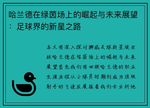 哈兰德在绿茵场上的崛起与未来展望：足球界的新星之路
