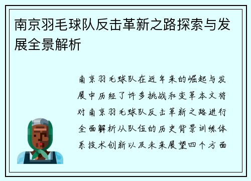 南京羽毛球队反击革新之路探索与发展全景解析